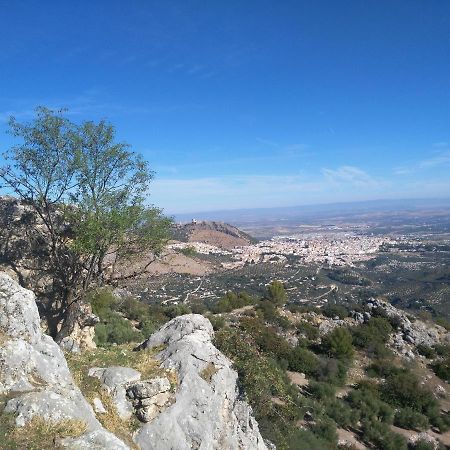 Finca Del Valle Vtar Хаэн Экстерьер фото